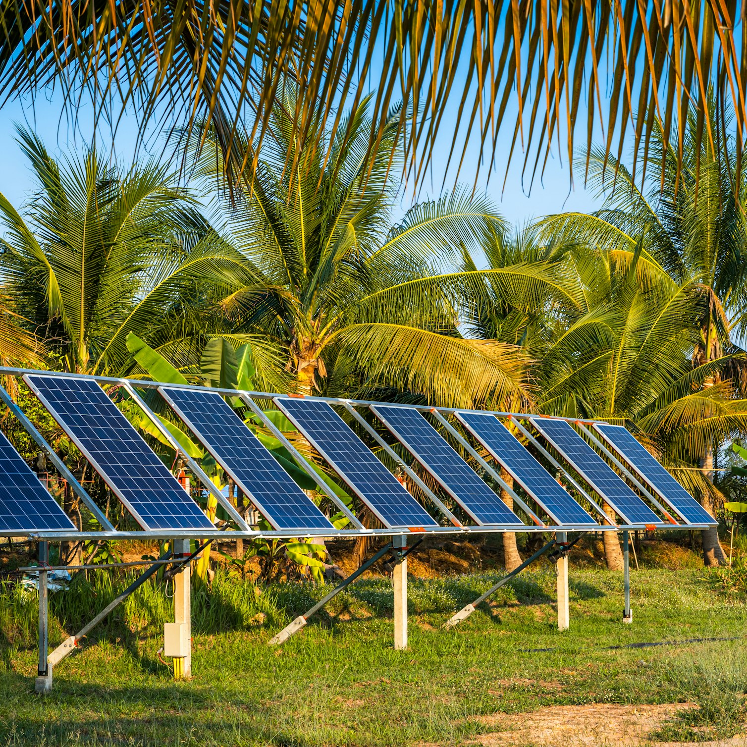 The rise of photovoltaics in the Caribbean