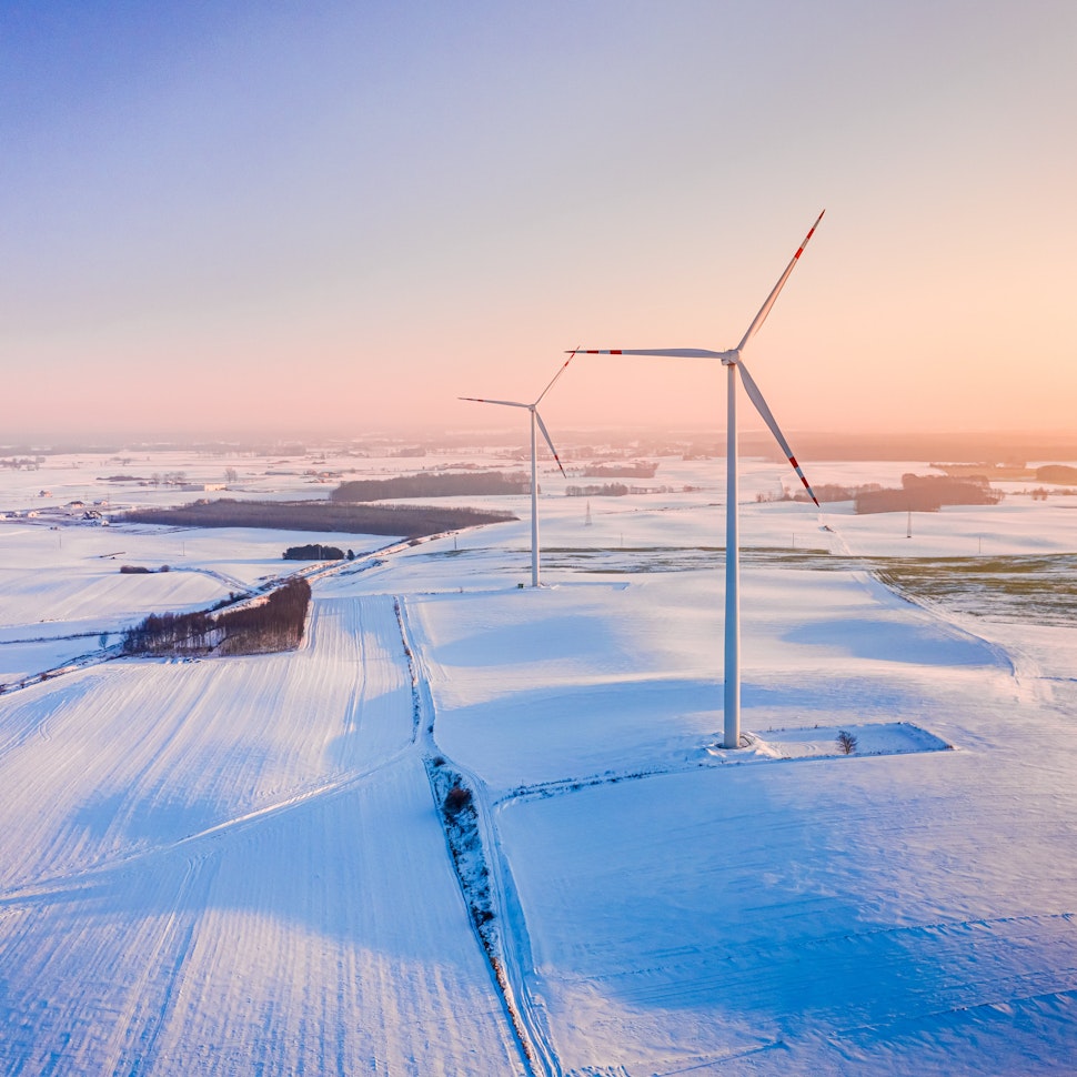 Meet the influencers driving the green transition in the Nordics