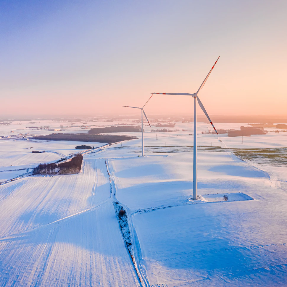 Meet the influencers driving the green transition in the Nordics