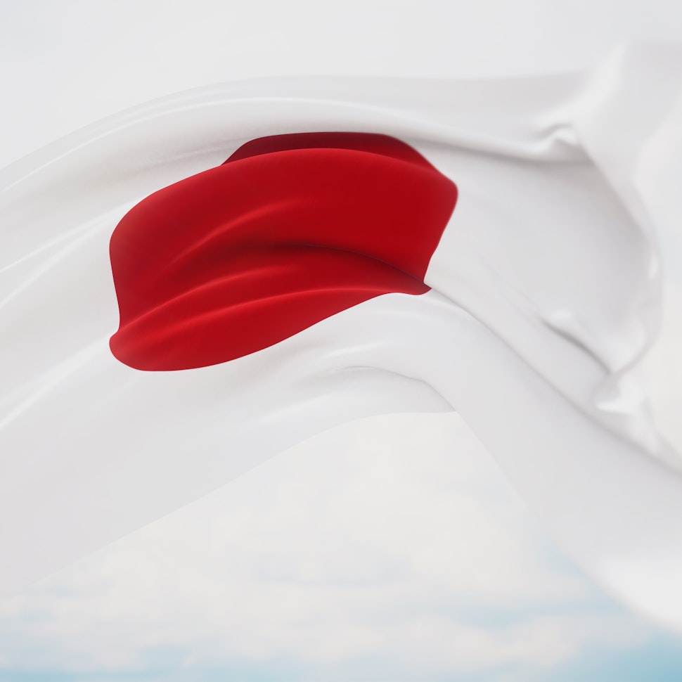 Japan's FIP scheme and battery storage subsidy are driving forces to boost renewables