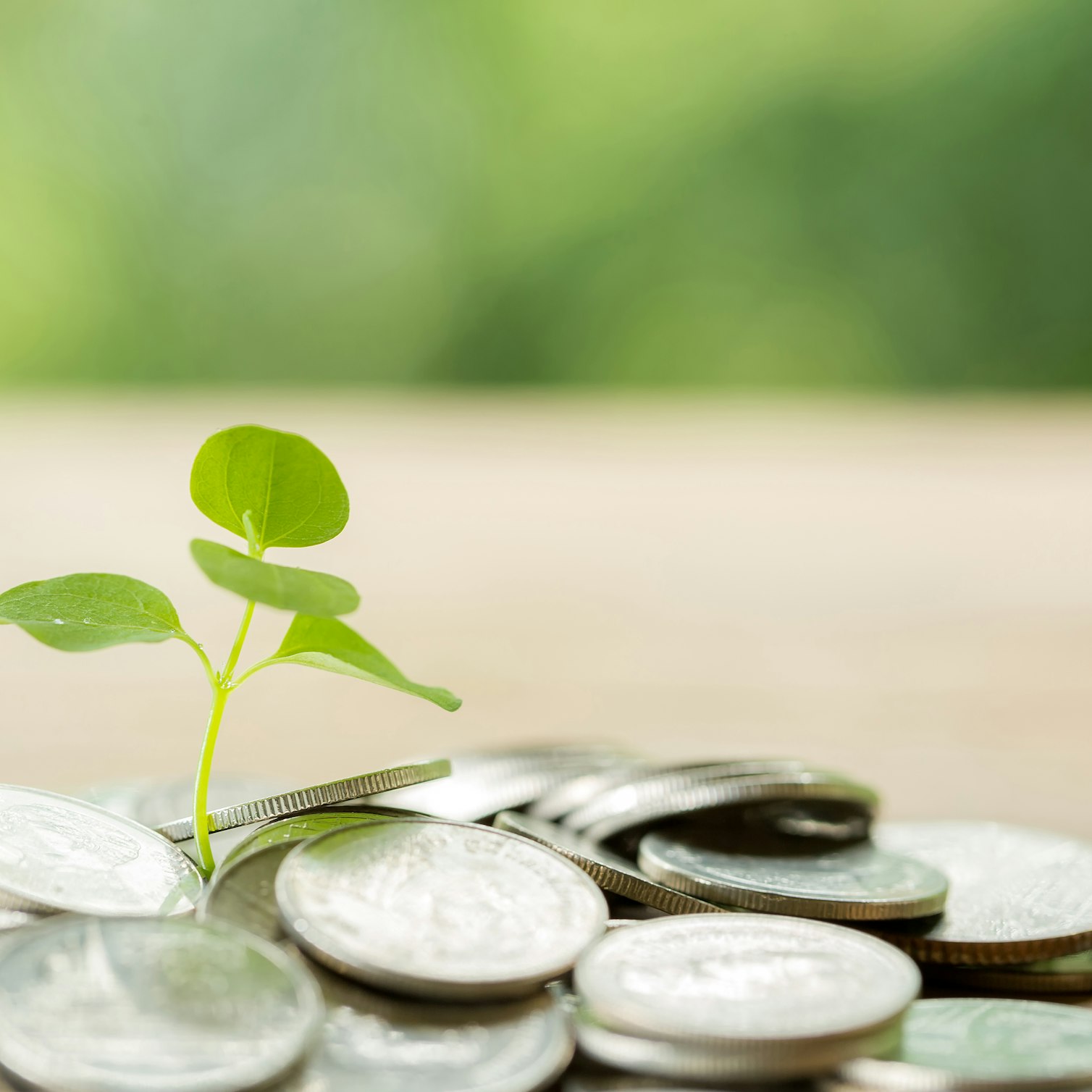 Sustainable finance: international examples to follow