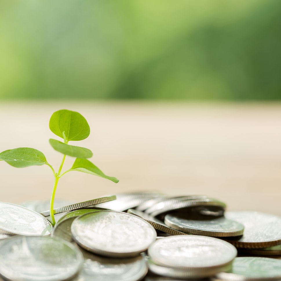 Sustainable finance: international examples to follow