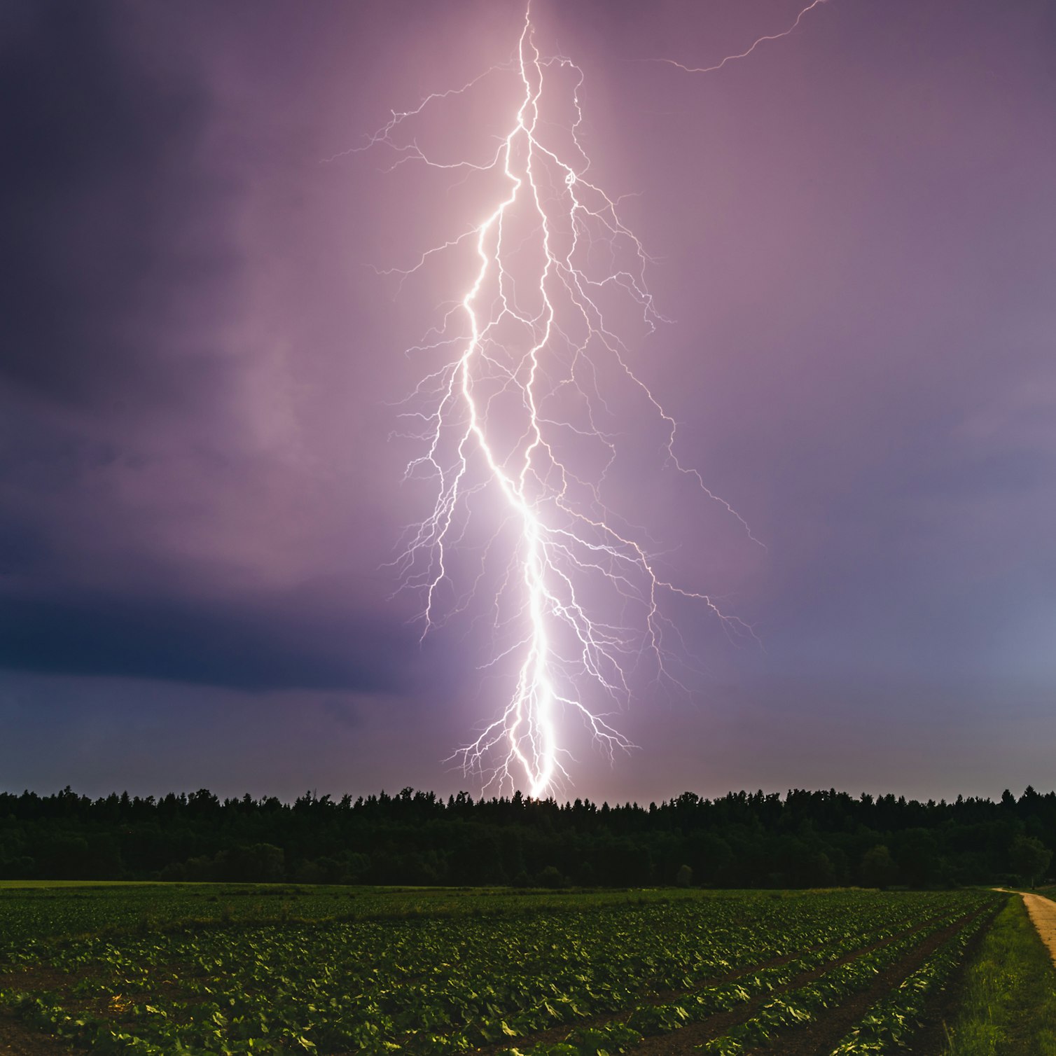 Surge Protection Device (SPD): What is of utmost necessity for a solar plant?