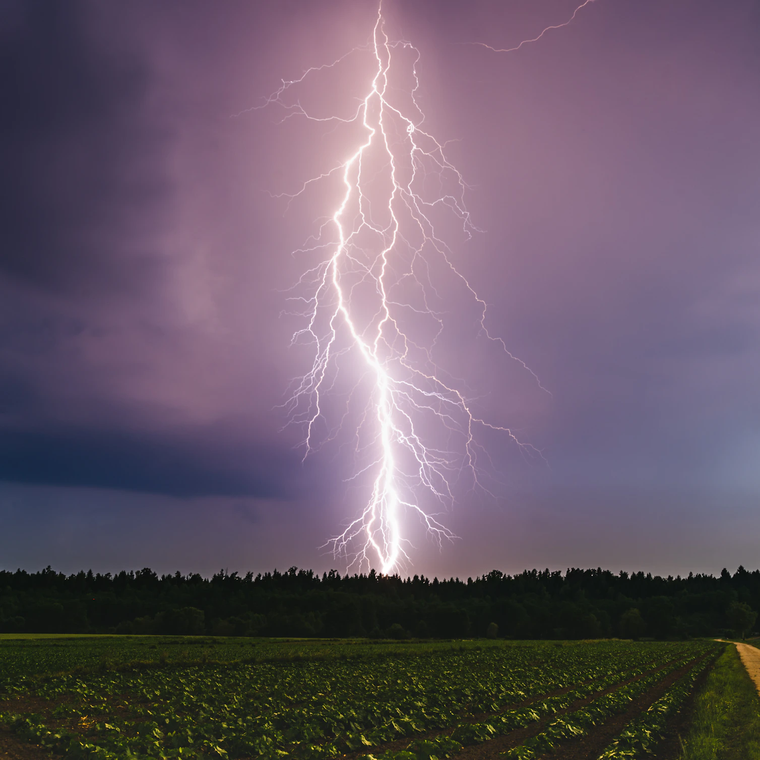 Surge Protection Device (SPD): What is of utmost necessity for a solar plant?