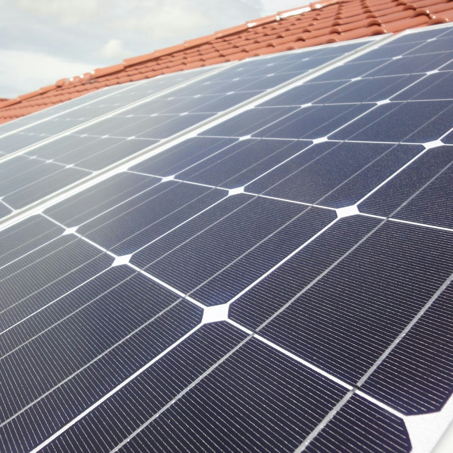 Solar module manufacturers: how to differ in a crowded market