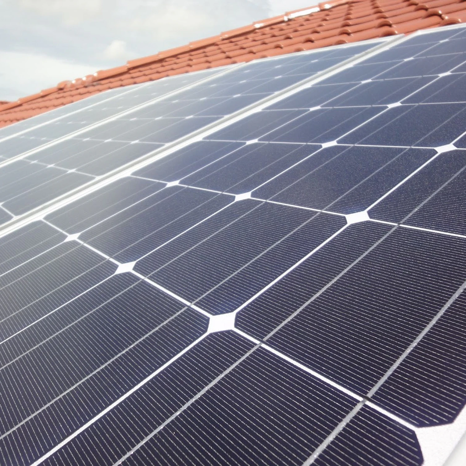 Solar module manufacturers: how to differ in a crowded market