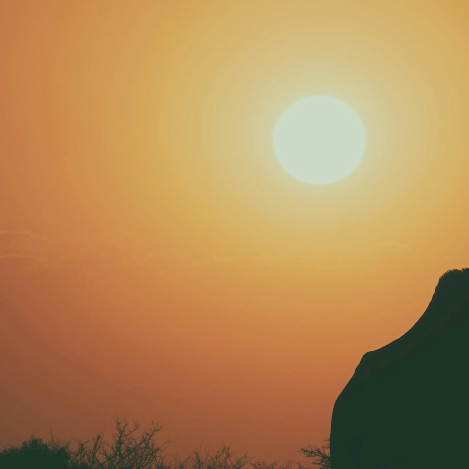 Why investing in developing countries is more beneficial to the environment