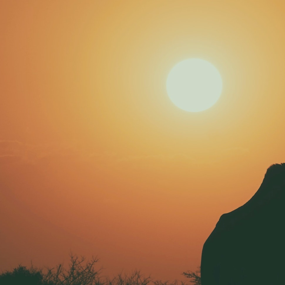 Why investing in developing countries is more beneficial to the environment