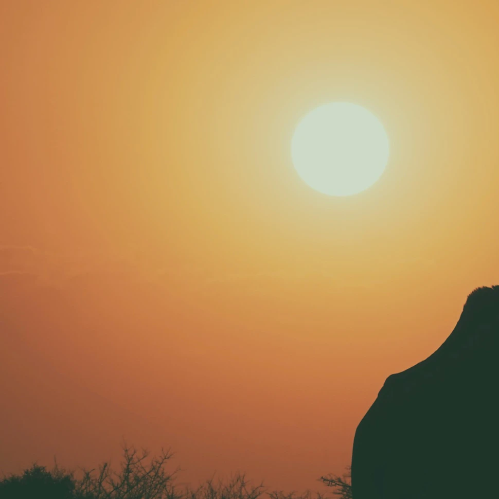 Why investing in developing countries is more beneficial to the environment