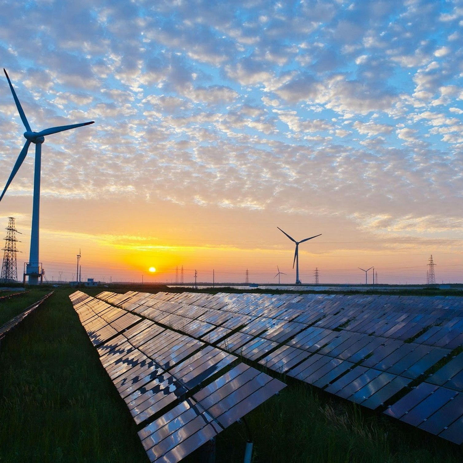 Renewable energy in Latin America: 5 trends to be aware of