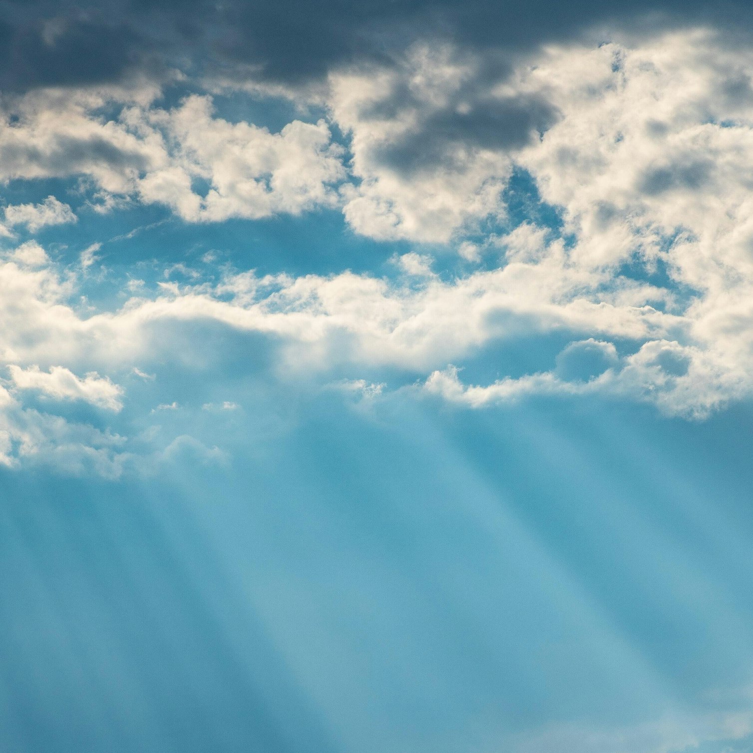 Renewable energy by country: Who's leading the way in 2021?