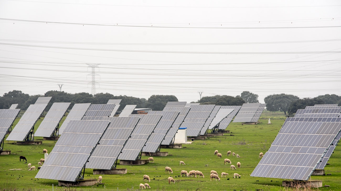 photovoltaic-power-station-middle-field-with-sheep39s