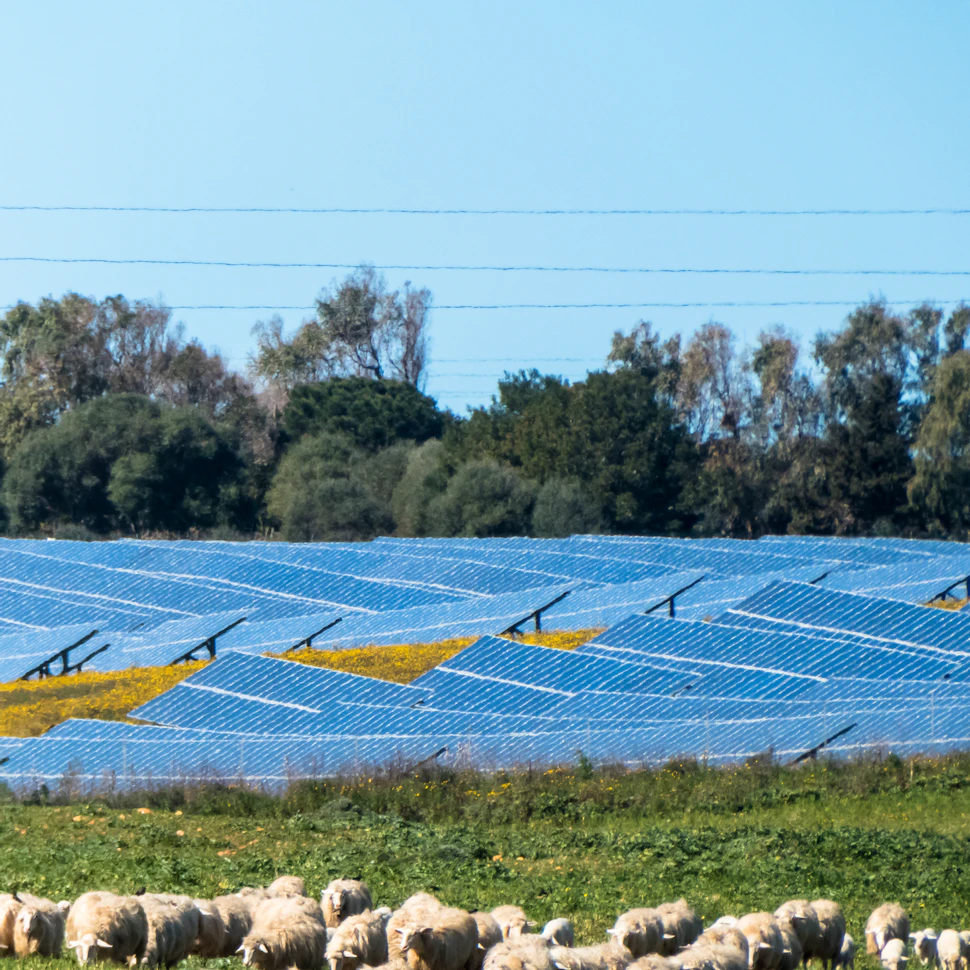 alternative energy agrivoltaic