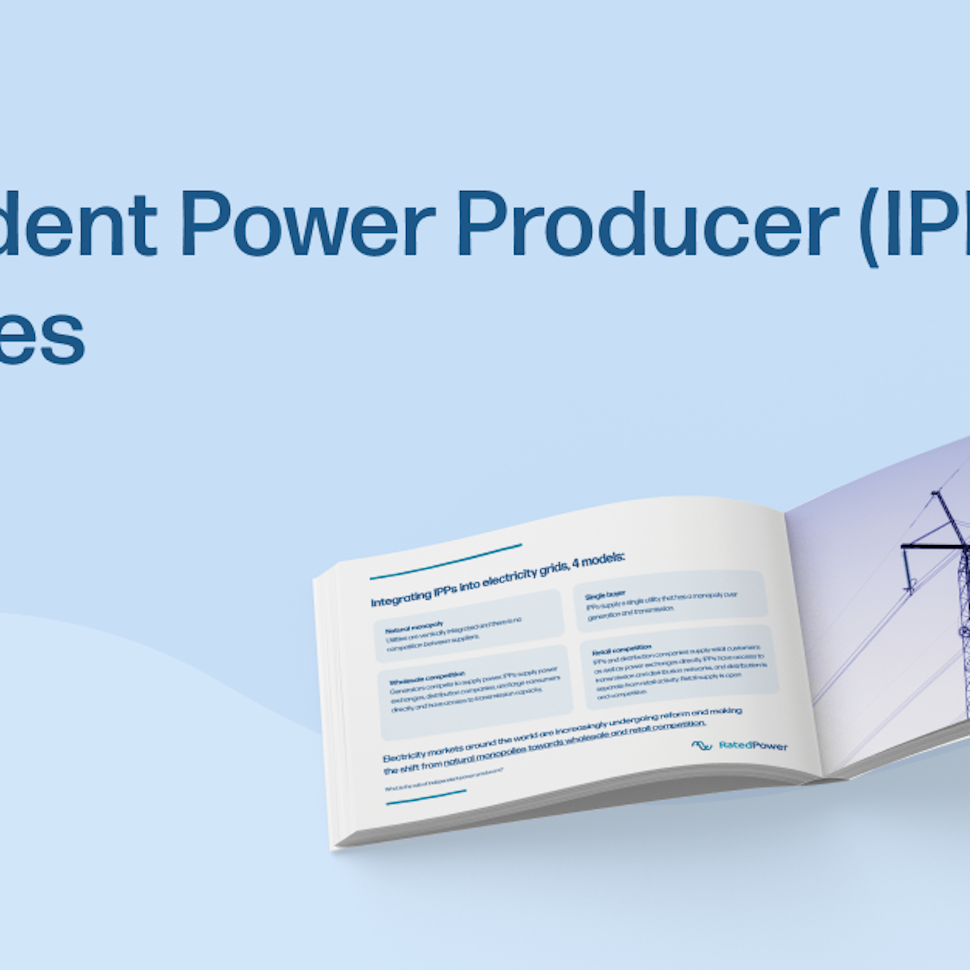ebook challenges independent power producers
