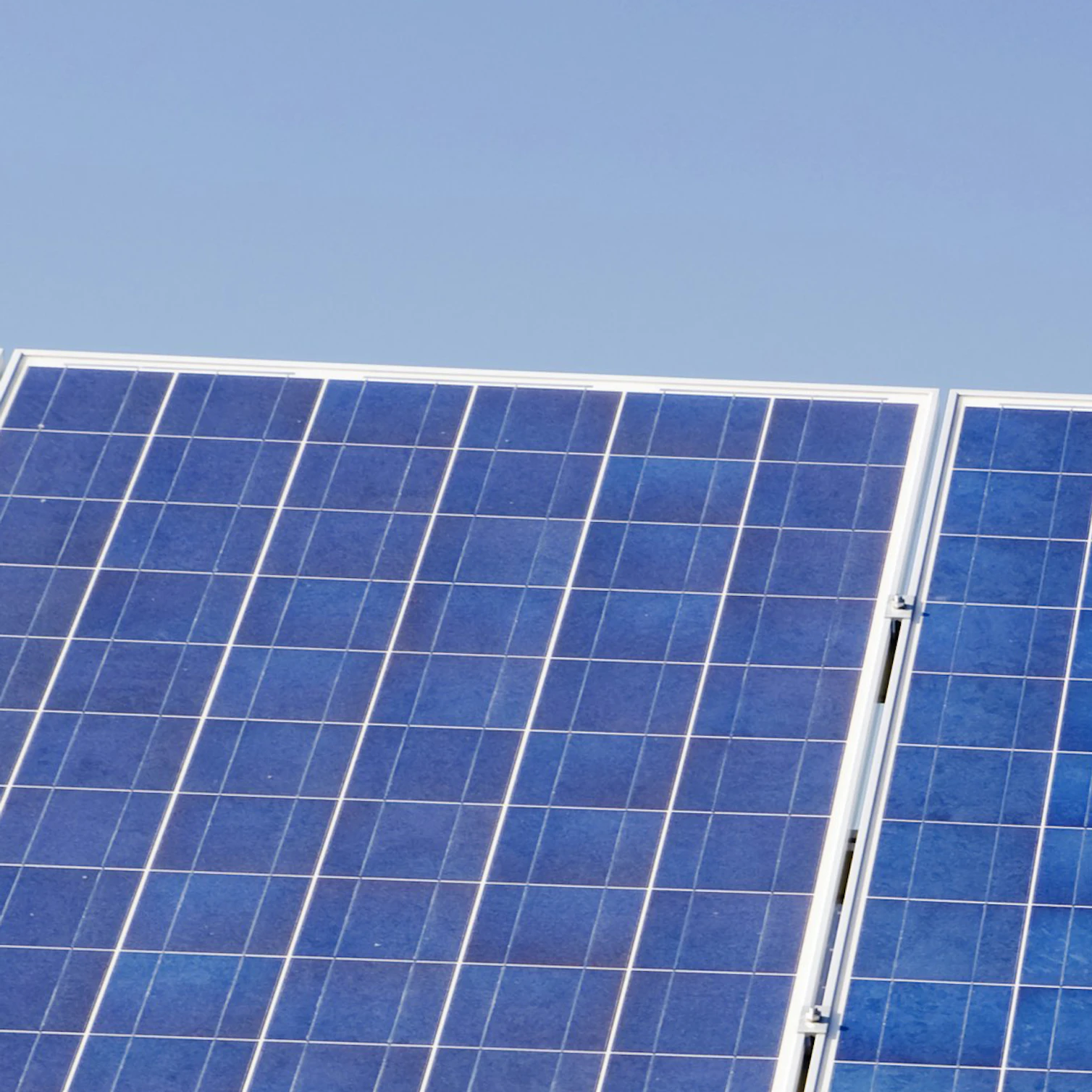 organic solar cells