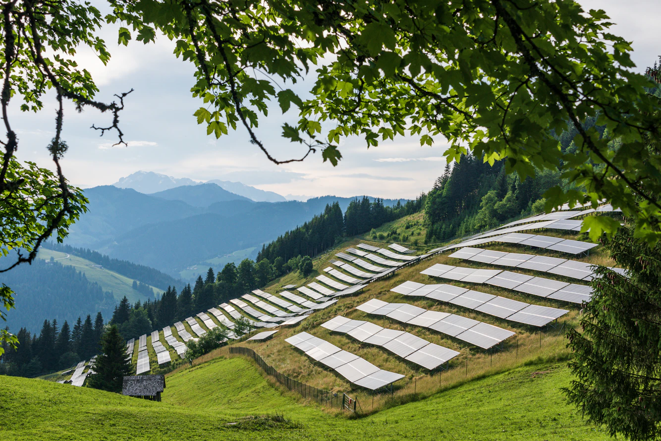 solar farm hill