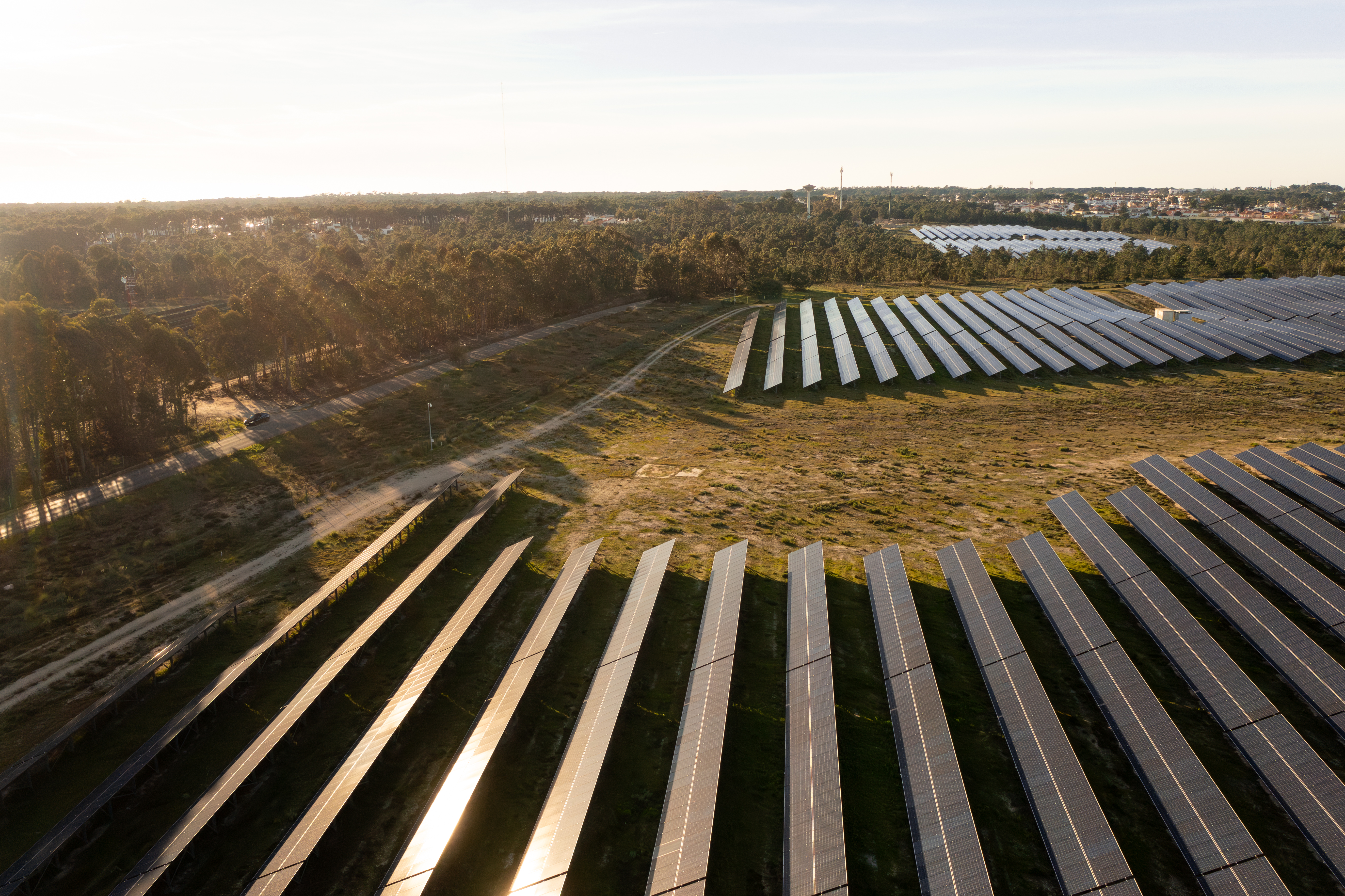field of solar panels