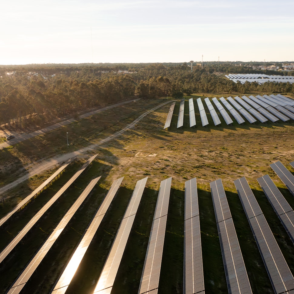 field of solar panels