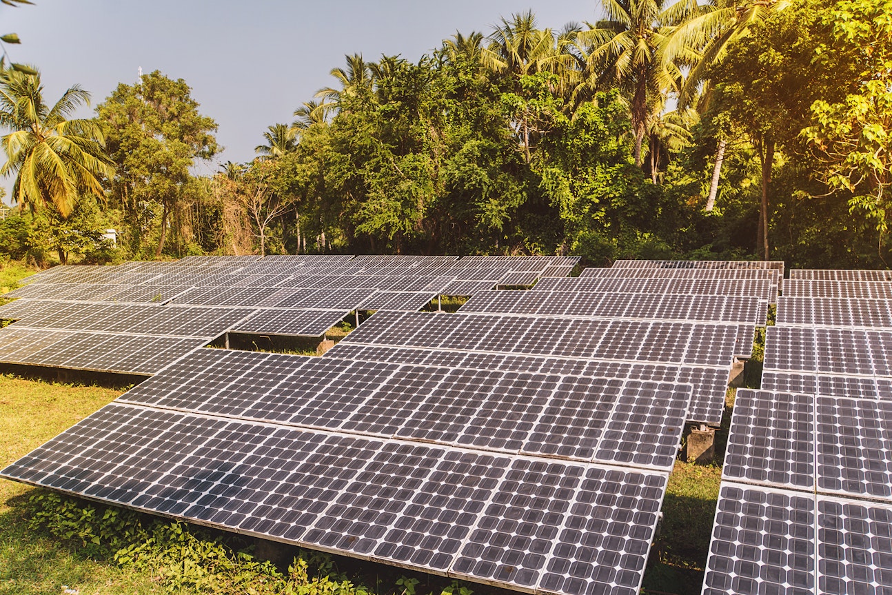 solar panels forest
