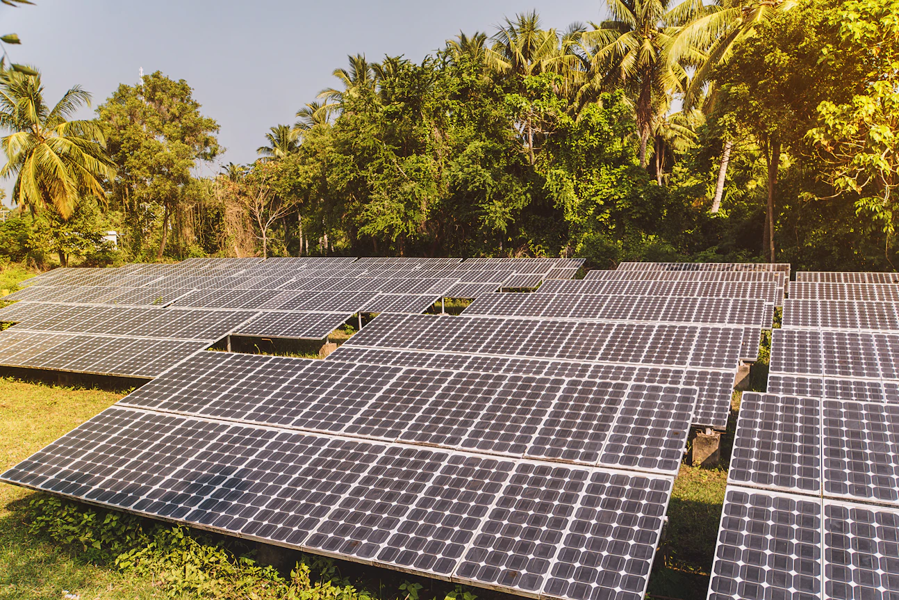 solar panels forest