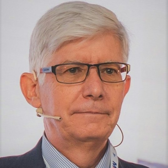 José García Franquelo José García Franquelo